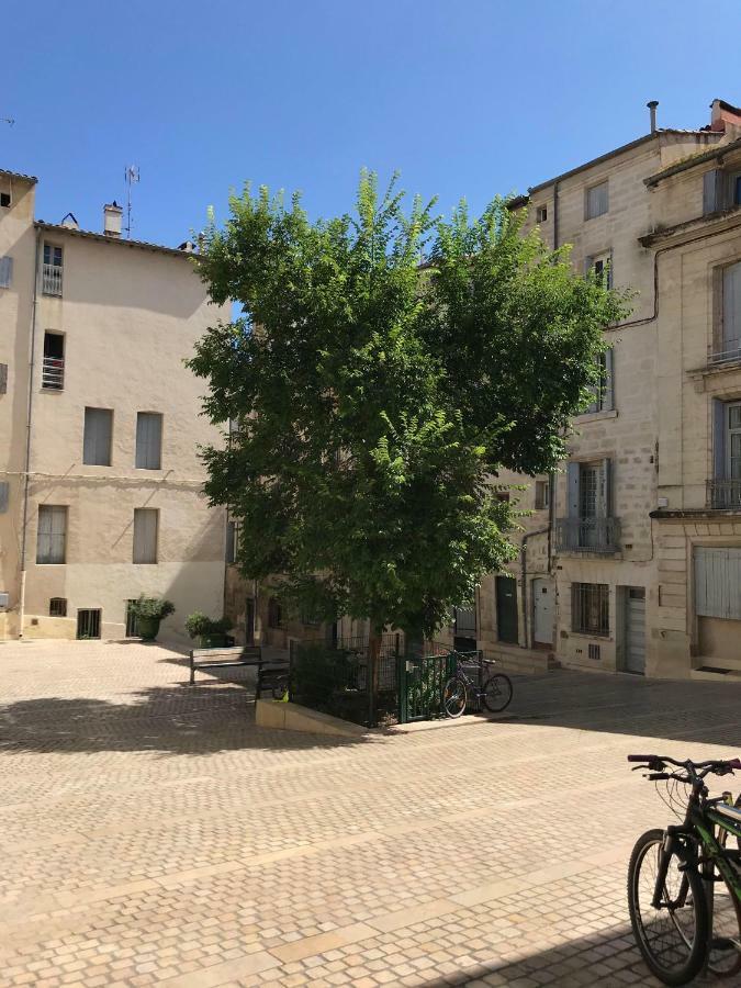 Super Appart T2 - Historic Center - Idealement Situe Montpellier Eksteriør billede